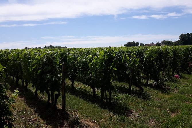 Saint-Émilion Private Full-Day Sidecar Tour With Winery Visits  - Bordeaux - Pricing and Booking Details