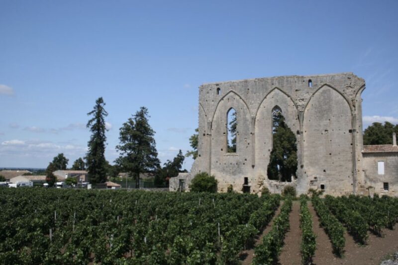 Saint-Émilion: Private Walking Tour & Magnificent Views - Included in Tour