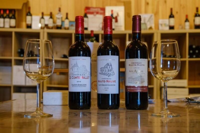 Saint-Emilion: Tasting of 4 Wines in a Family Vineyard - Key Points