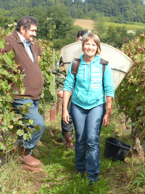 Saint-Emilion: Tasting of 4 Wines in a Family Vineyard - Location Information
