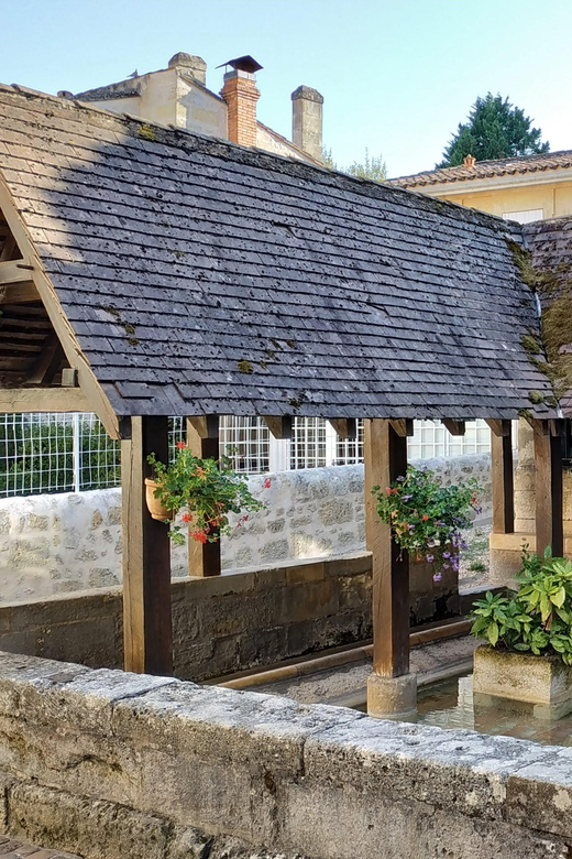 Saint Emilion: UNESCO City & Vineyards - Guided Vineyard Walkthrough
