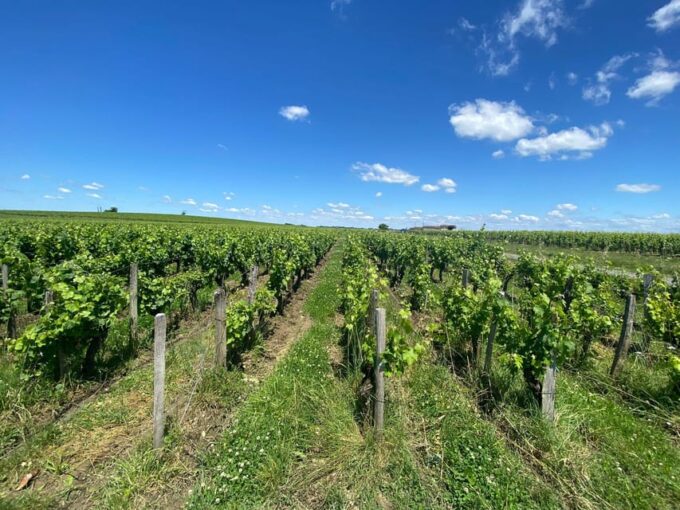 Saint Emilion Village Visiting Chateaux & Wine Tasting - Frequently Asked Questions