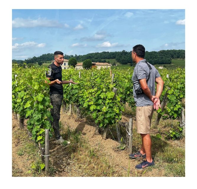 Saint-Émilion: Vineyard Walking Tour and Tasting - Accessibility and Group Size
