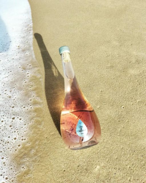 Saint-Émilion: Visit of a Family Vineyard & Tasting - Inclusions