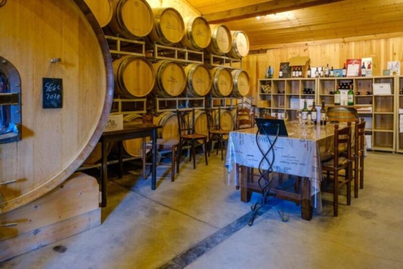 Saint-Émilion: Visit of a Family Vineyard & Tasting - Customer Reviews