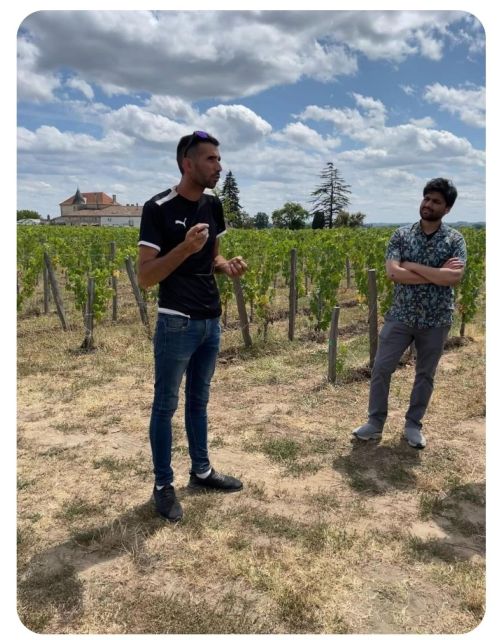 Saint-Émilion: Visit of a Family Vineyard & Tasting - Directions