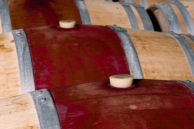 Saint-Emilion: Visit of the Village & Château With Wine Tasting - Alternative Arrangements