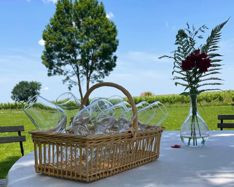 Saint-Emilion: Wine Region Tour W/ Wine Tasting & Aperitifs - Saint-Emilion Village