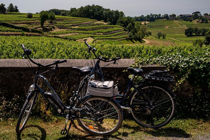 Saint-Emilion Wine Tour By Electric Bike, Lunch Included - Key Points