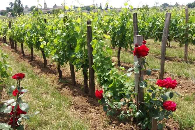 Saint Emilion Wine Tour Half Day - Discovering the Delicate Flavors