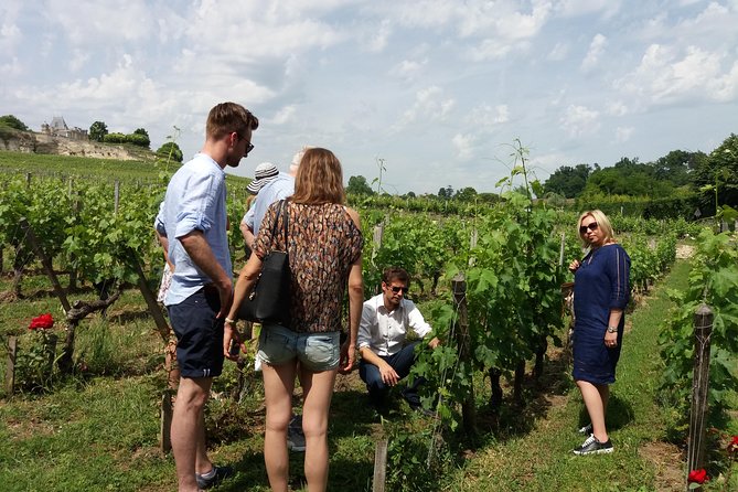 Saint Emilion Wine Tour Half Day - Additional Information for Travelers