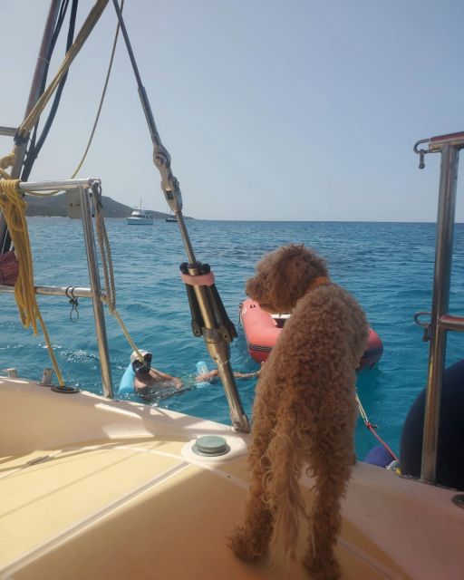 Saint-Florent: Sailing Excursions With Sailingmaures - Key Points
