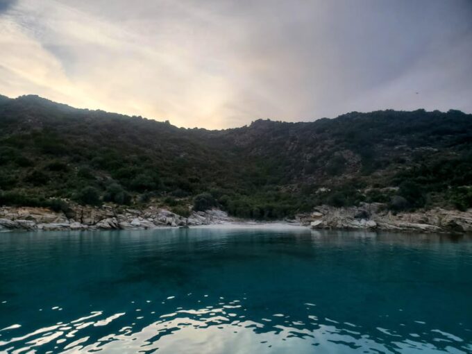 Saint-Florent: Sailing Excursions With Sailingmaures - Experiences Offered