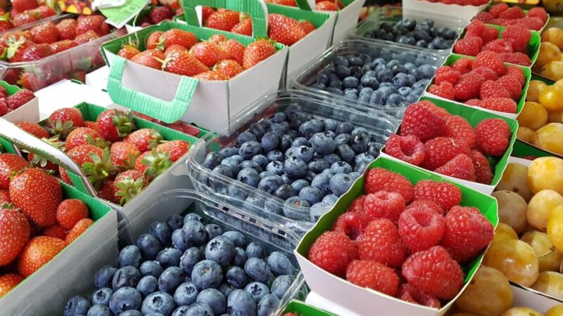 Saint-Germain-en-Laye: History, Forest, View of Paris, Picnic! - Wheelchair Accessibility