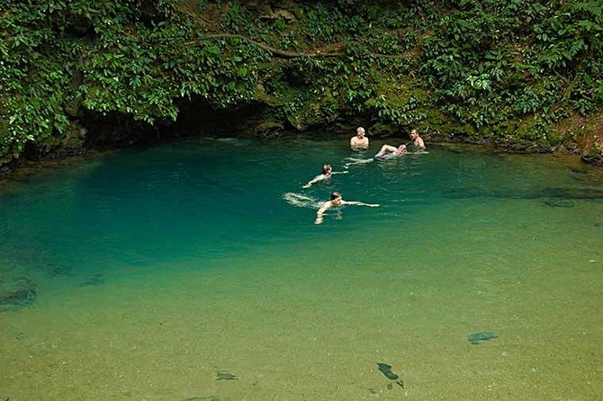 Saint Hermans Cave Hiking and Blue Hole Tour From Belize City - Key Points