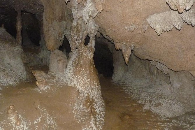 Saint Hermans Cave Hiking and Blue Hole Tour From Belize City - Hiking Experience
