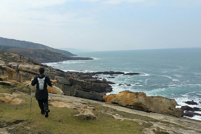 Saint James Way Trekking Tour With Gastronomic Society Dinner - About Your Stay