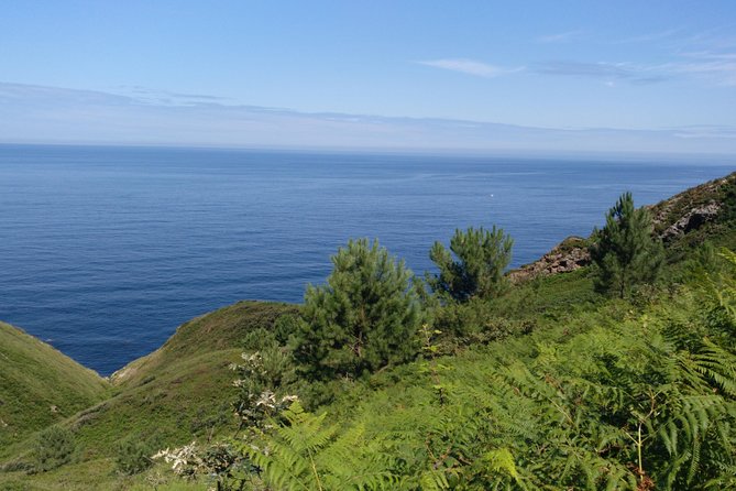 Saint James Way Trekking Tour With Gastronomic Society Dinner - Pricing and Booking Information