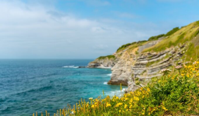 Saint-Jean-de-Luz and Hondarribia Private Tour - Booking Options and Pricing