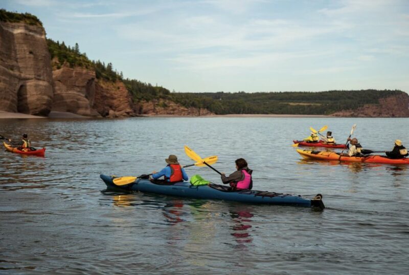 Saint John: Bay of Fundy Guided Kayaking Tour With Snack - Fundy Isles Archipelago