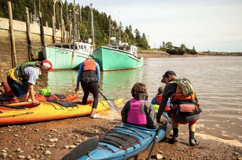 Saint John: Bay of Fundy Guided Kayaking Tour With Snack - UNESCO Fundy Biosphere