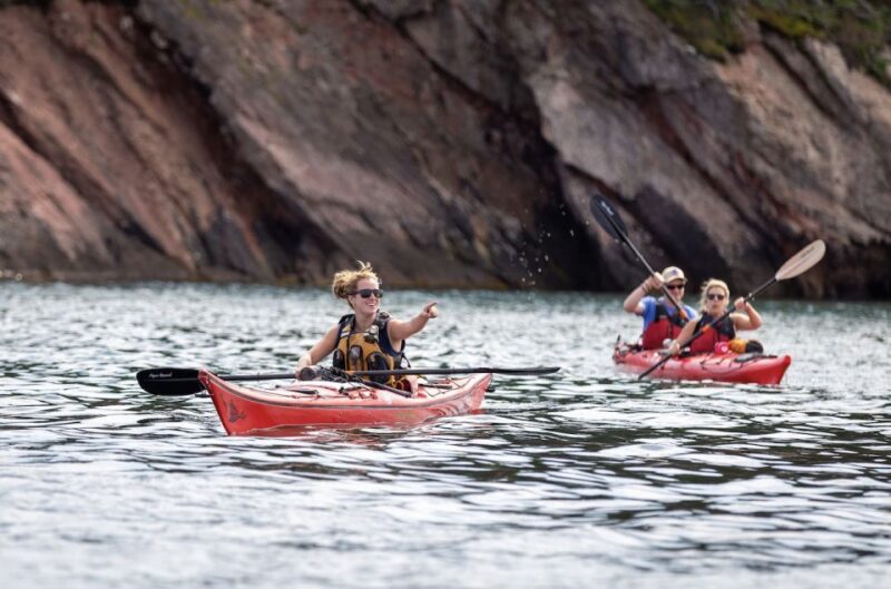 Saint John: Bay of Fundy Guided Kayaking Tour With Snack - Wilderness Camping Expedition