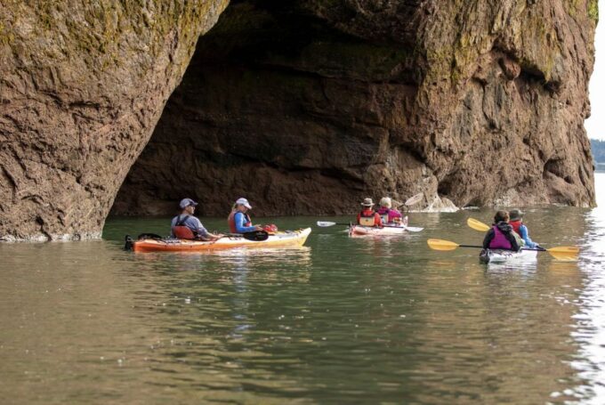 Saint John: Bay of Fundy Guided Kayaking Tour With Snack - Wildlife Sightings