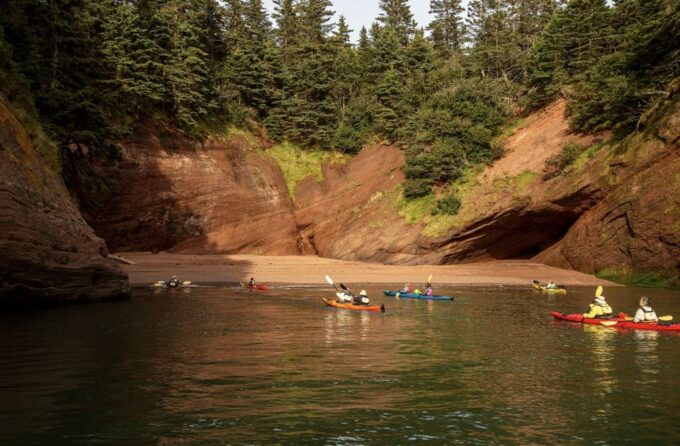 Saint John: Bay of Fundy Guided Kayaking Tour With Snack - Inclusions and Restrictions
