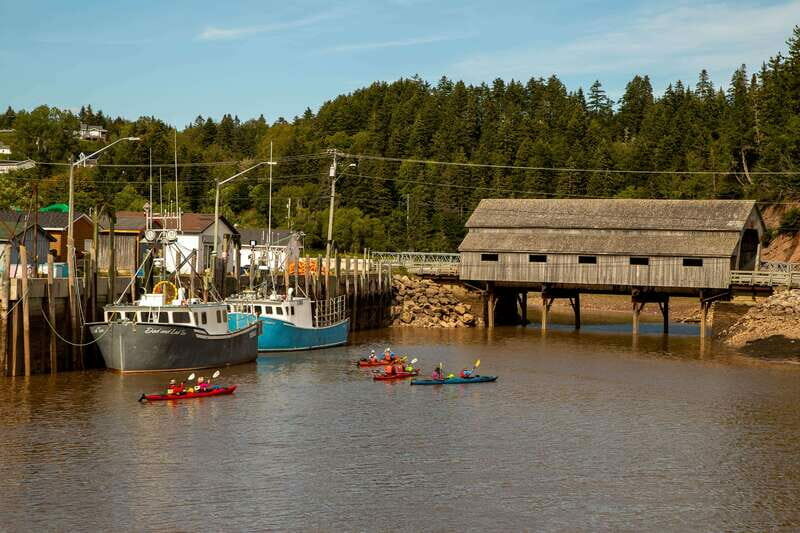 Saint John: Guided Kayaking Tour of St. Martins Sea Caves - Key Points