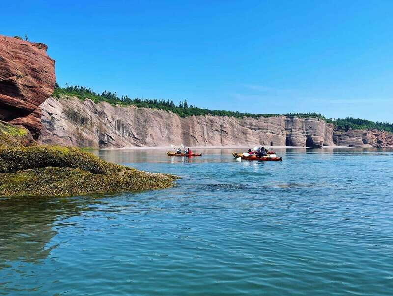 Saint John: Guided Kayaking Tour of St. Martins Sea Caves - Who Will Love This Tour?