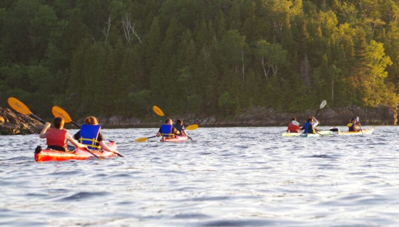 Saint John River: River Relics Kayak Tour - Important Information