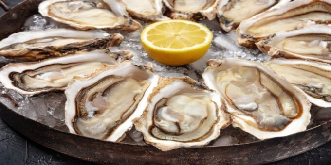 Saint John Seafood Walking Tour - Customer Feedback