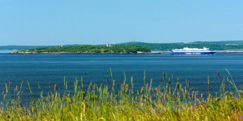 Saint John Walking Tour - Pricing and Cancellation