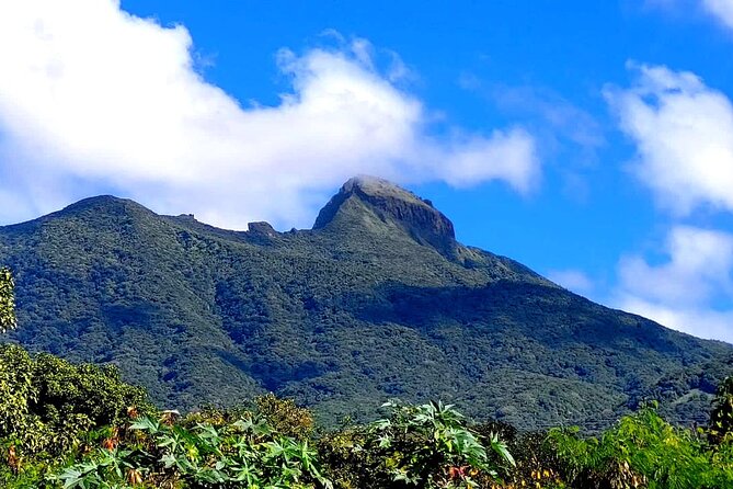 Saint Kitts Highest Peak Hike: Mount Liamuiga Volcano - Stunning Vistas and Rewarding Experience