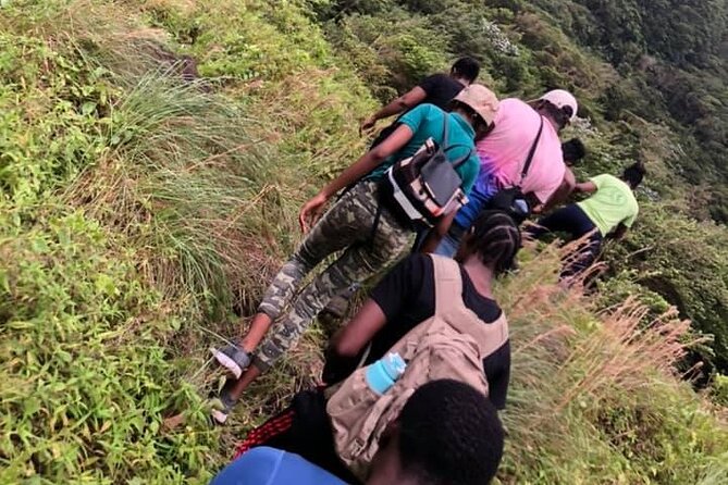 Saint Kitts Highest Peak Hike: Mount Liamuiga Volcano - Traveler Experiences and Testimonials