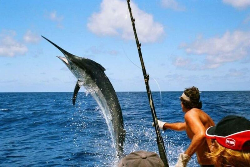 Saint Kitts & Nevis: Full-Immersion Caribbean Adventure - A Deep Dive into the Experience