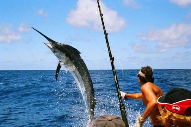 Saint Kitts & Nevis: Full-Immersion Caribbean Adventure - Booking Information