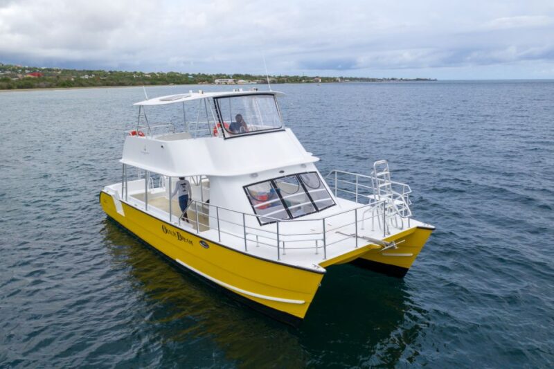 Saint Kitts: Nevis Getaway to Pinney's Beach by Boat - Key Points