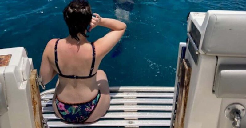 Saint Kitts & Nevis: Snorkel Tour With Open Bar - Snorkeling Highlights
