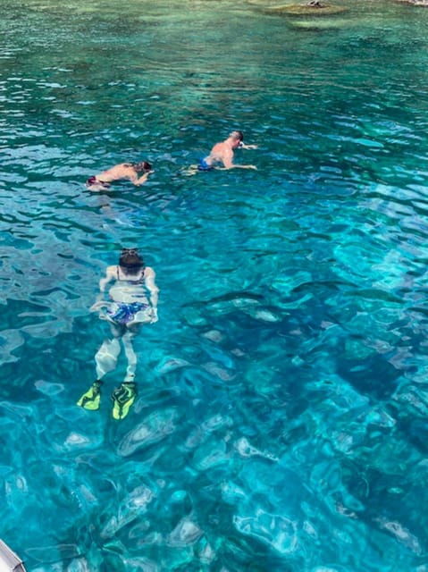 Saint Kitts & Nevis: Snorkel Tour With Open Bar - Snorkeling Amenities