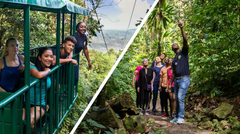Saint Lucia: Aerial Tram Tour at Rainforest Adventures - An Overview of the Experience