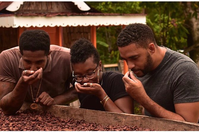 Saint Lucia: Chocolate Making, Marigot Bay, & Shopping Adventure - Exceptional Customer Feedback