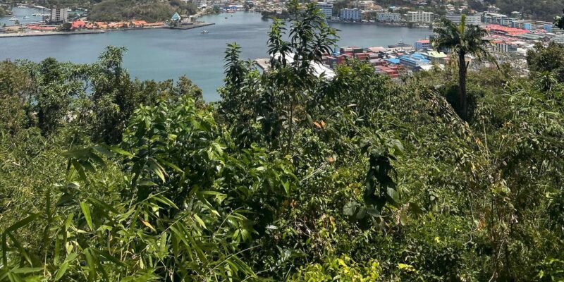 Saint Lucia : Hewanorra Airport (UVF) Round Trip Transfer - Pricing and Cancellation
