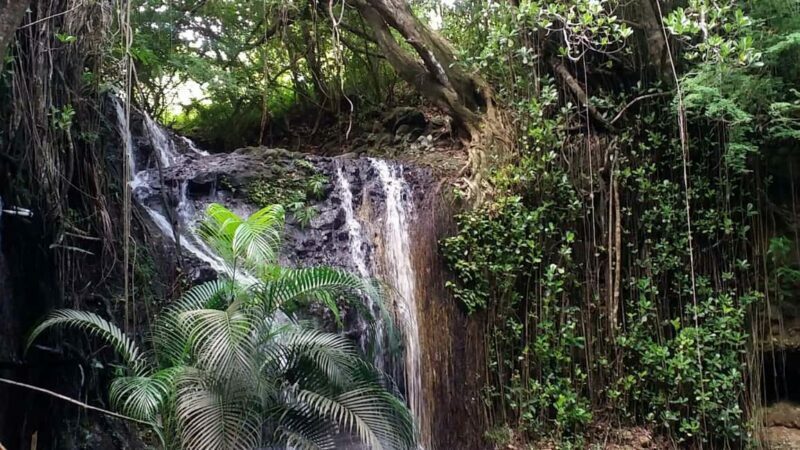 Saint Lucia: La Tille Falls Visit and Fish Foot Massage - Practical Details and Value
