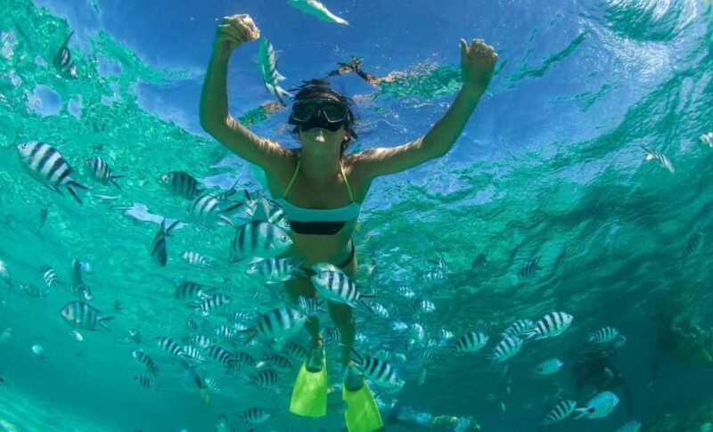 Saint Lucia: Snorkeling Beneath the Pitons in Soufriere - An Introduction to the Snorkeling Tour Experience