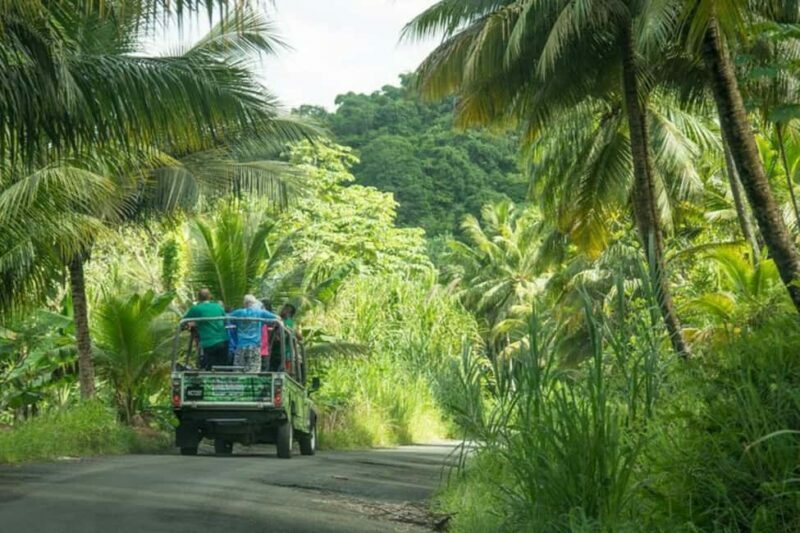 Saint Lucia: Soufriere Volcano Experience - The Value and Who Should Consider This Tour