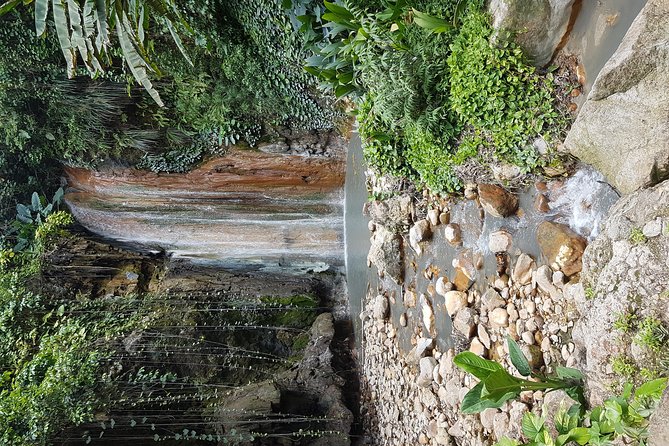 Saint Lucia Sulphur Springs Rejuvenating Mud Bath Tour - Rejuvenating Mud Bath Experience