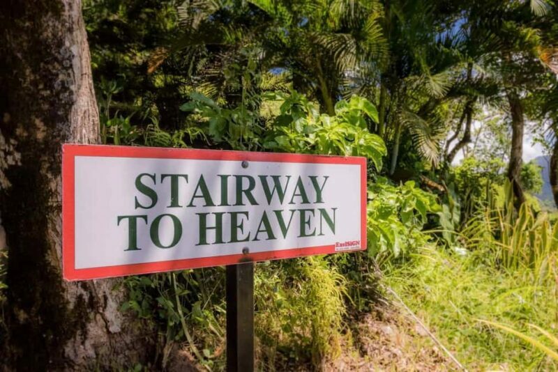 Saint Lucia: Tete Paul Nature Trail Hike & Waterfall Visit - A Deep Dive into the Itinerary