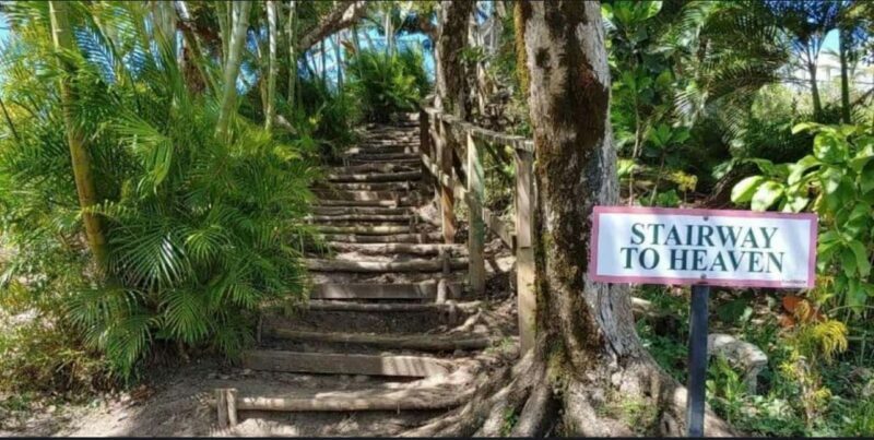 Saint Lucia: Tete Paul Nature Trail Hike & Waterfall Visit - Practical Details and Tips