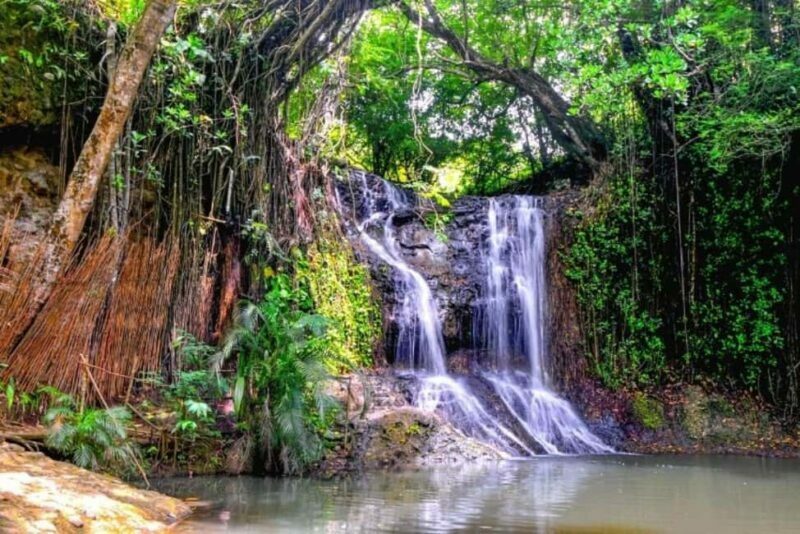 Saint Lucia: Thrill Seeker 6-Day Adventure Tour - FAQ